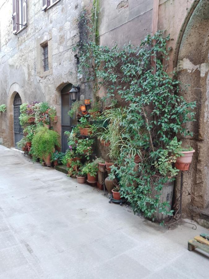 La Casa Di Sally Pitigliano Bagian luar foto